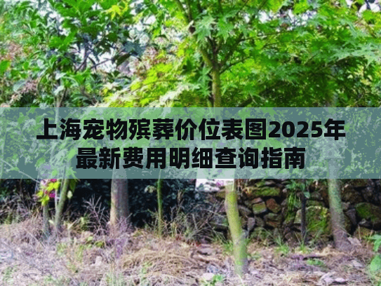 上海宠物殡葬价位表图2025年最新费用明细查询指南