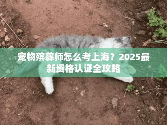 宠物殡葬师怎么考上海？2025最新资格认证全攻略