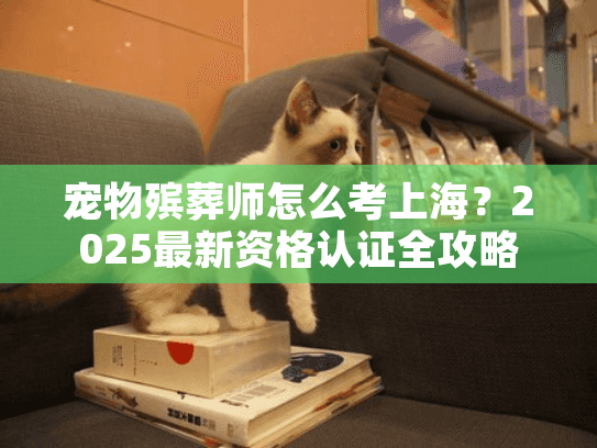 宠物殡葬师怎么考上海？2025最新资格认证全攻略