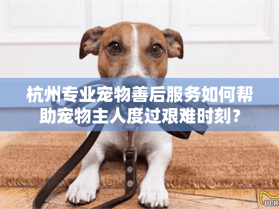 杭州专业宠物善后服务如何帮助宠物主人度过艰难时刻？