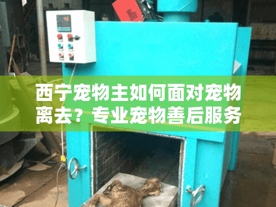 西宁宠物主如何面对宠物离去？专业宠物善后服务全解析