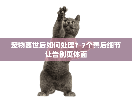宠物离世后如何处理？7个善后细节让告别更体面