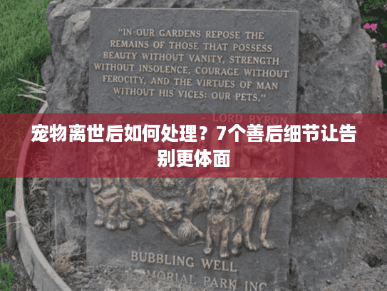 宠物离世后如何处理？7个善后细节让告别更体面
