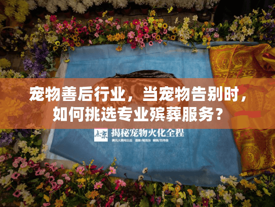 宠物善后行业，当宠物告别时，如何挑选专业殡葬服务？