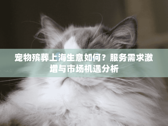宠物殡葬上海生意如何？服务需求激增与市场机遇分析