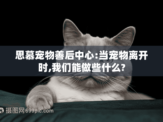 思慕宠物善后中心:当宠物离开时,我们能做些什么?