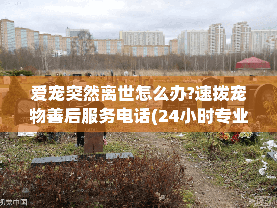 爱宠突然离世怎么办?速拨宠物善后服务电话(24小时专业团队)
