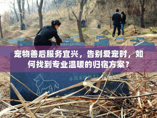 宠物善后服务宜兴，告别爱宠时，如何找到专业温暖的归宿方案？
