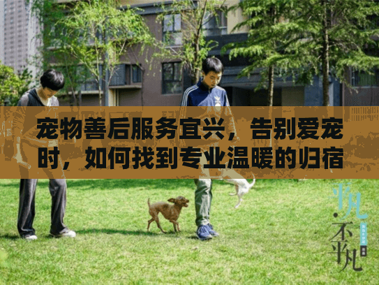 宠物善后服务宜兴，告别爱宠时，如何找到专业温暖的归宿方案？