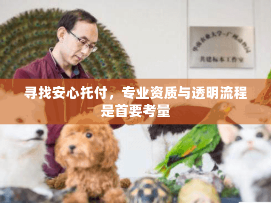 寻找安心托付，专业资质与透明流程是首要考量