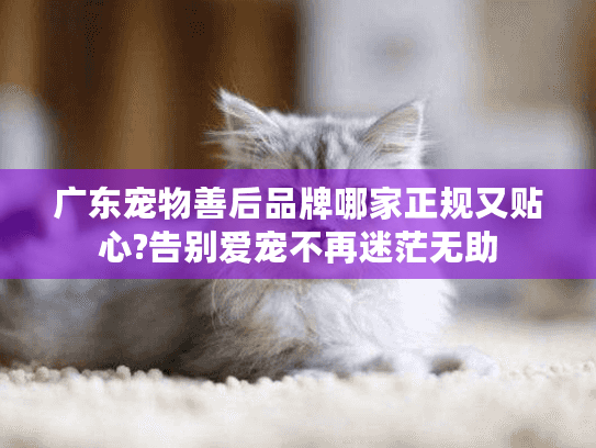 广东宠物善后品牌哪家正规又贴心?告别爱宠不再迷茫无助 广东宠物善后品牌哪家正规又贴心?告别爱宠不再迷茫无助