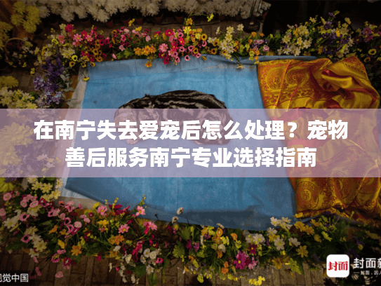 在南宁失去爱宠后怎么处理？宠物善后服务南宁专业选择指南