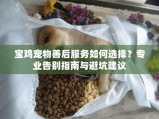 宝鸡宠物善后服务如何选择？专业告别指南与避坑建议