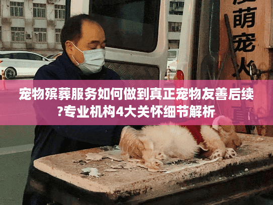 宠物殡葬服务如何做到真正宠物友善后续?专业机构4大关怀细节解析