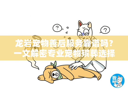 龙岩宠物善后服务靠谱吗？一文解密专业宠物殡葬选择指南