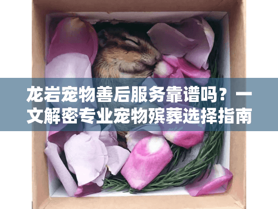 龙岩宠物善后服务靠谱吗？一文解密专业宠物殡葬选择指南