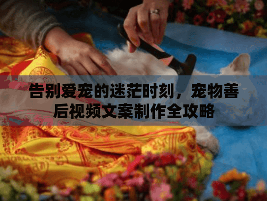 告别爱宠的迷茫时刻，宠物善后视频文案制作全攻略