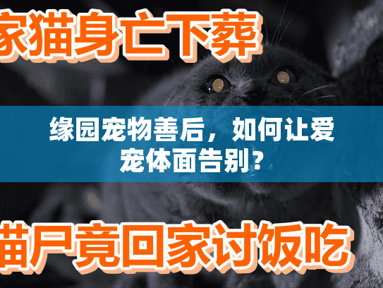 缘园宠物善后，如何让爱宠体面告别？