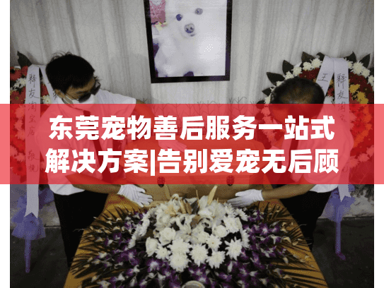 东莞宠物善后服务一站式解决方案|告别爱宠无后顾之忧