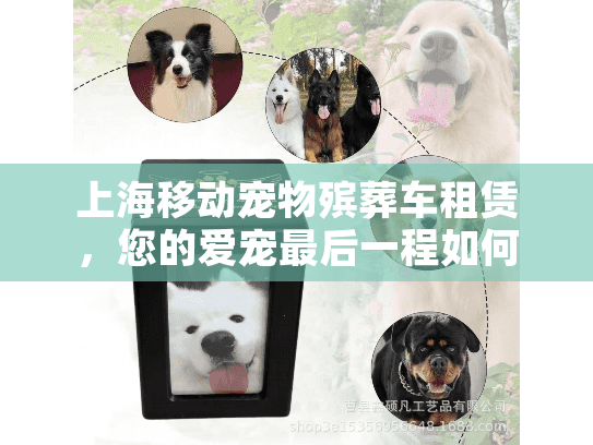 上海移动宠物殡葬车租赁，您的爱宠最后一程如何轻松安排？