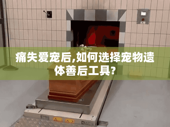 痛失爱宠后,如何选择宠物遗体善后工具?