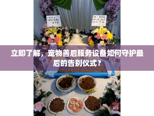 立即了解，宠物善后服务设备如何守护最后的告别仪式？