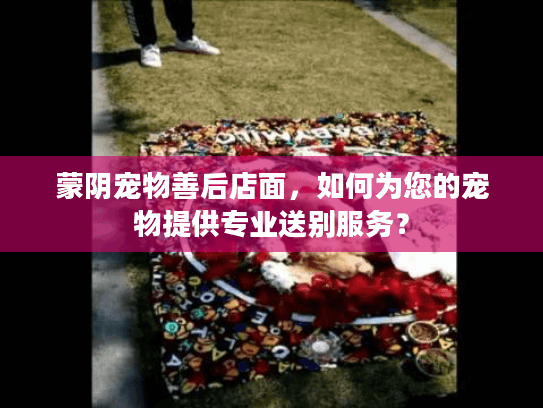 蒙阴宠物善后店面，如何为您的宠物提供专业送别服务？