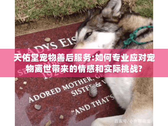 天佑堂宠物善后服务:如何专业应对宠物离世带来的情感和实际挑战?
