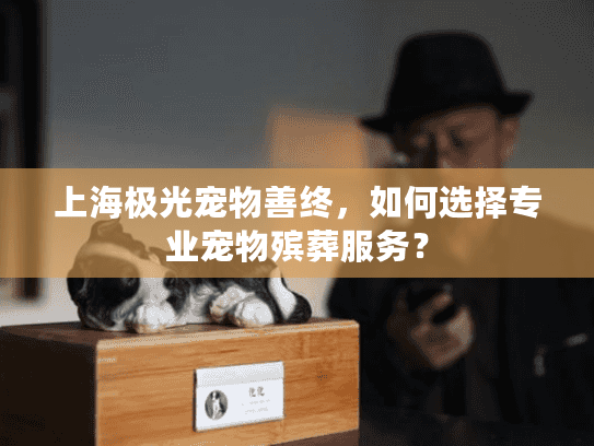 上海极光宠物善终，如何选择专业宠物殡葬服务？