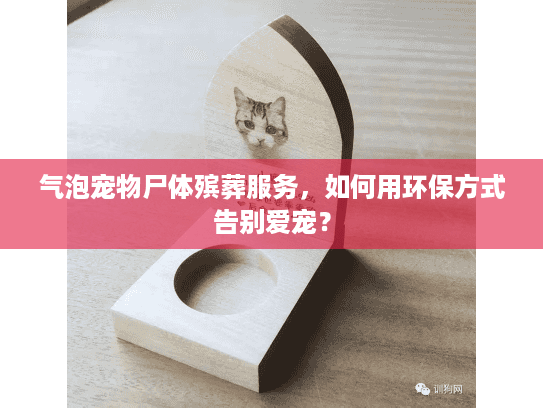 气泡宠物尸体殡葬服务，如何用环保方式告别爱宠？