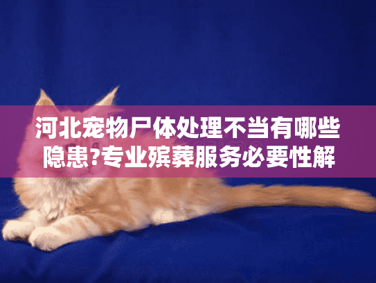 河北宠物尸体处理不当有哪些隐患?专业殡葬服务必要性解析 河北宠物尸体处理不当有哪些隐患?专业殡葬服务必要性解析