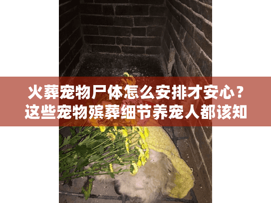 火葬宠物尸体怎么安排才安心？这些宠物殡葬细节养宠人都该知道