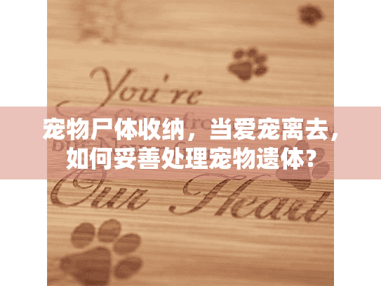 宠物尸体收纳，当爱宠离去，如何妥善处理宠物遗体？