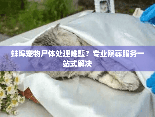 蚌埠宠物尸体处理难题？专业殡葬服务一站式解决