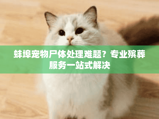 蚌埠宠物尸体处理难题？专业殡葬服务一站式解决