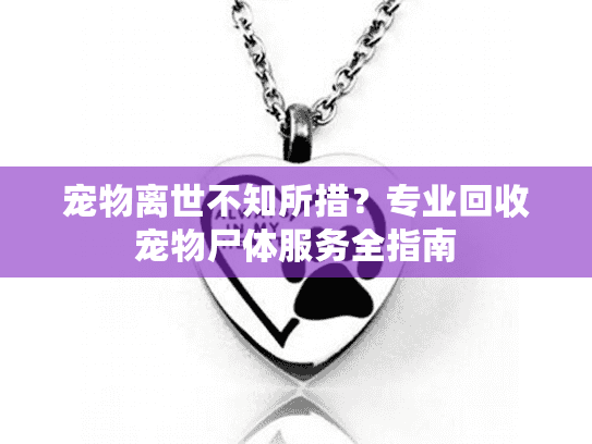 宠物离世不知所措？专业回收宠物尸体服务全指南