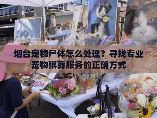 烟台宠物尸体怎么处理？寻找专业宠物殡葬服务的正确方式