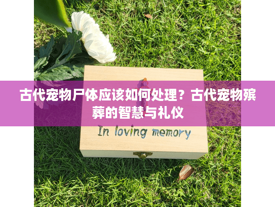 古代宠物尸体应该如何处理？古代宠物殡葬的智慧与礼仪