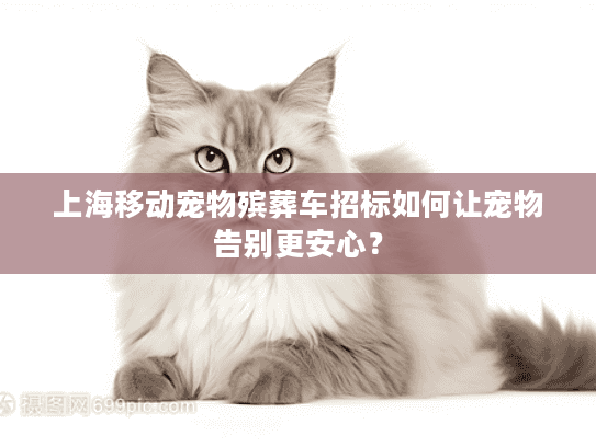 上海移动宠物殡葬车招标如何让宠物告别更安心？