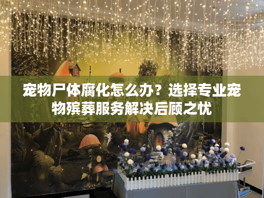 宠物尸体腐化怎么办?选择专业宠物殡葬服务解决后顾之忧 宠物尸体腐化怎么办?选择专业宠物殡葬服务解决后顾之忧