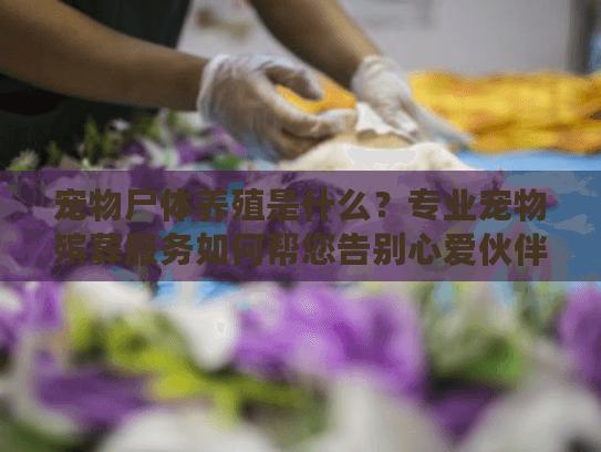 宠物尸体养殖是什么?专业宠物殡葬服务如何帮您告别心爱伙伴? 宠物尸体养殖是什么?专业宠物殡葬服务如何帮您告别心爱伙伴?