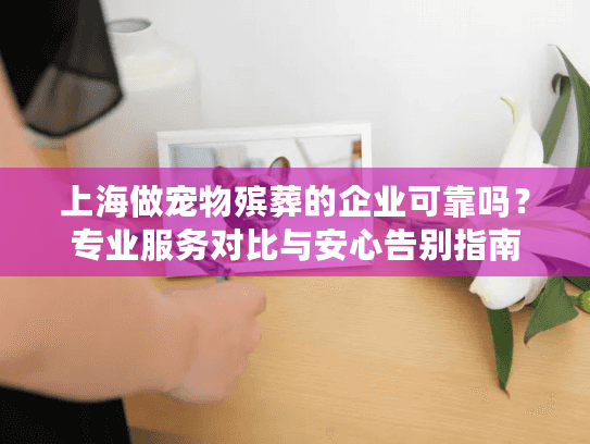 上海做宠物殡葬的企业可靠吗？专业服务对比与安心告别指南
