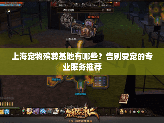 上海宠物殡葬基地有哪些？告别爱宠的专业服务推荐