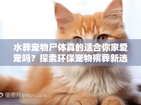 水葬宠物尸体真的适合你家爱宠吗？探索环保宠物殡葬新选择