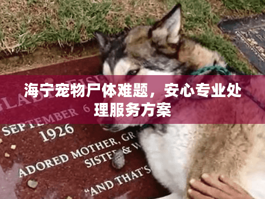 海宁宠物尸体难题，安心专业处理服务方案