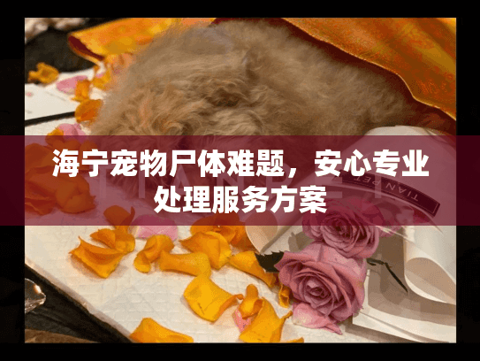海宁宠物尸体难题，安心专业处理服务方案