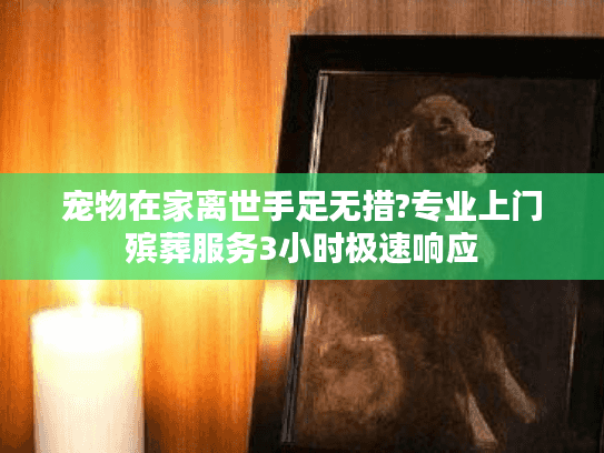 宠物在家离世手足无措?专业上门殡葬服务3小时极速响应