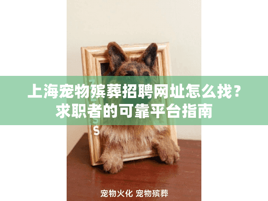 上海宠物殡葬招聘网址怎么找？求职者的可靠平台指南