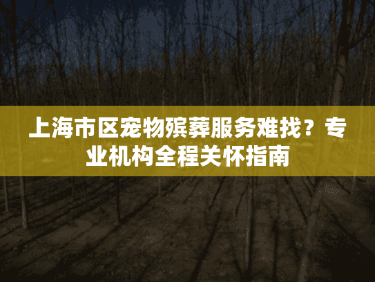 上海市区宠物殡葬服务难找？专业机构全程关怀指南