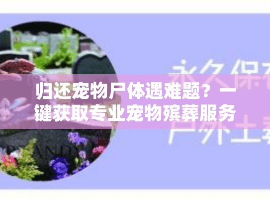 归还宠物尸体遇难题？一键获取专业宠物殡葬服务指南